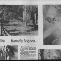 CF-20180722-Butterfly brigade...0001.PDF