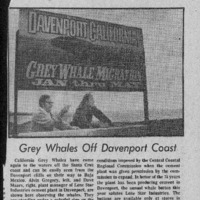 CF-20180817-Grey whales off Davenport coast0001.PDF