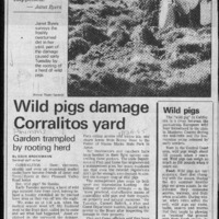 20170607-Wild pigs damage Corralitos yard0001.PDF