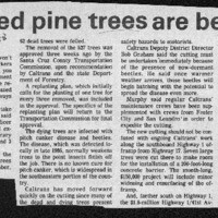 CF-20201018-Diseased pine trees are being cut0001.PDF