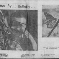 CF-20180721-Flutterby...butterfly...0001.PDF