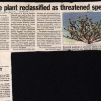 CF-20190808-Native plant reclassified as threatene0001.PDF