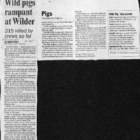 20170607-Wild pigs rampamnt at Wilder0001.PDF