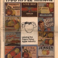 Cf-20190731-1980 apple annual0001.PDF
