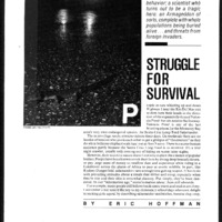 20170608-Struggle for survival0001.PDF