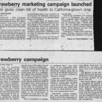 20170526-Strawberry marketing lcampaign0001.PDF