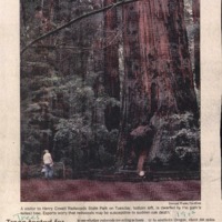 CF-20201018-Redwoods may be in peril0001.PDF