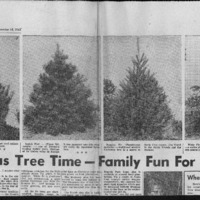 CF-20181017-Christmas tree time-family fun for eve0001.PDF