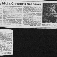 CF-20201018-Fungus may bligt christmas tree farms0001.PDF