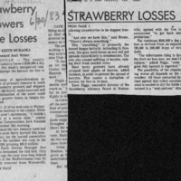 20170527-Strawberry growers face losses0001.PDF