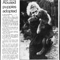 20170604-Abused puppies adopted0001.PDF