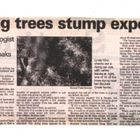 CF-20200213-Dying tree stump experts0001.PDF