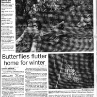 CF-20180722-Butterflies flutter home for winter0001.PDF