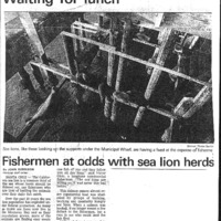CF-202011205-Fishermen at odds with sea lion herds0001.PDF