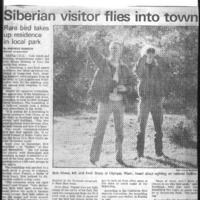 20170609-Siberian visitor flies into town0001.PDF