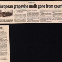 CF-20201211-European grapevine moth gone from coun0001.PDF