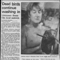 CF-20180105-Dead birds continue washing in0001.PDF