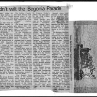 CF-20171210-Heat couldn't wilt the Begonia parade0001.PDF