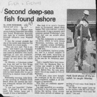 CF-20200116-Second deep-sea fish found ashore0001.PDF