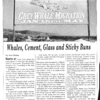 CF-20180824-Whales, cement, glass and sticky buns0001.PDF