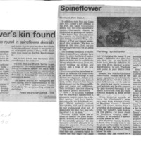 CF-20200213-Wildflower's kin found0001.PDF