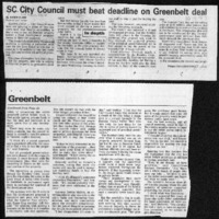 CF-20200612-SC city council must beat deadling on 0001.PDF