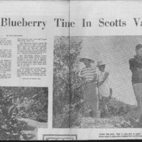CF-20180928-It's blueberry time in Scotts Valley0001.PDF