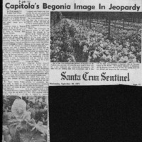 CF-20180316-Capitola's begonia image in jeopardy0001.PDF