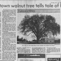 CF-20181213-Downtown walnut tree tells tale of his0001.PDF