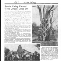CF-20181031-Scotts Valley famed 'tree circus' live0001.PDF