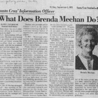 Cf-20190726-What does Brenda Meehan do0001.PDF