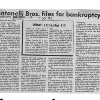 CF-20180223-Antonelli Bros. files for bankruptcy0001.PDF