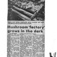 CF-202011202-Mushroom 'factory' grows in the dark0001.PDF