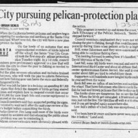 CF-20180106-City pursuing pelican-protective plan0001.PDF