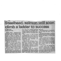 20170609-Steelhead, salmon willsoon climb0001.PDF