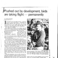20170609-Pushed out by development, birds0001.PDF